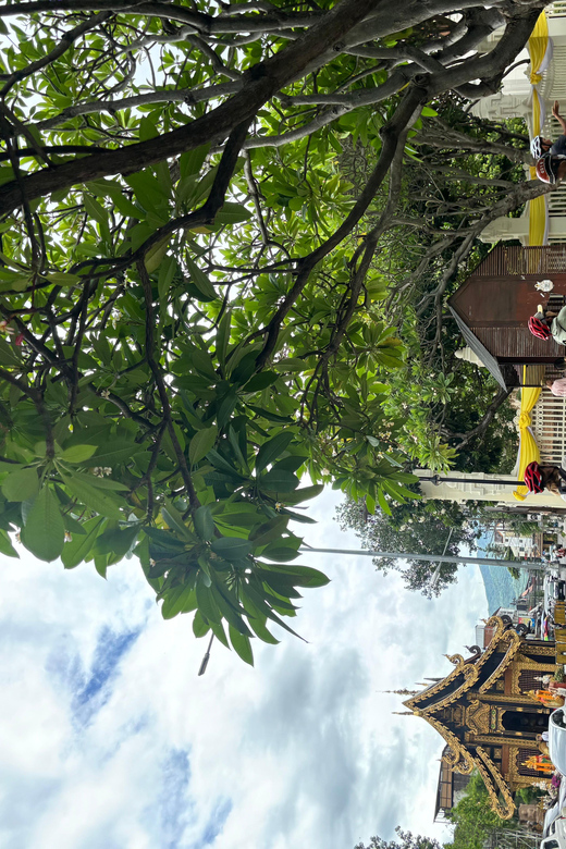 Chiangmai: Historical and Cultural Exploration Bike Tour - Itinerary Details