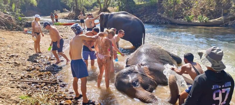 Chiangmai Mountain View Trekking Tour - Highlights of the Experience