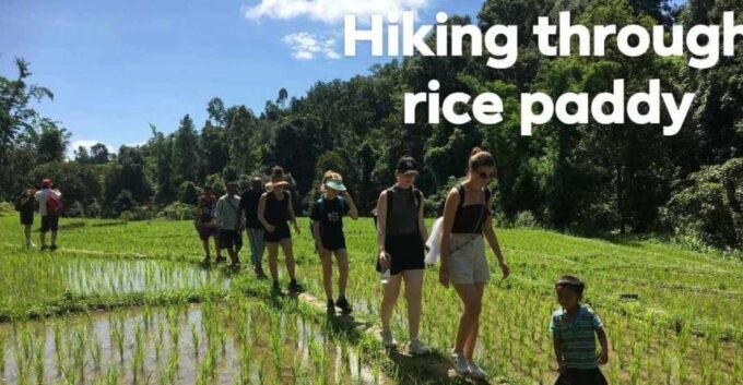 Chiangmai Mountain View Trekking Tour - Trekking and Outdoor Activities