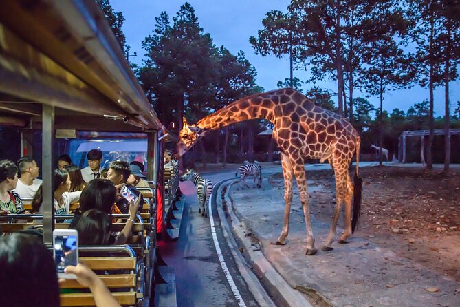 Chiangmai Night Safari Tour - Tour Details