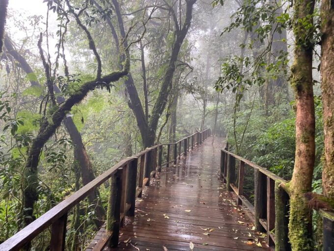 Chiangmai Overnight With Doi Inthanon National Park Tour - Important Considerations