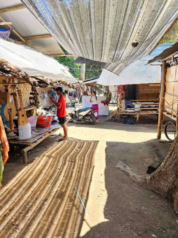 Chiangmai: Sticky Waterfall & Long-Neck Karen Village. - Waterfall Experience