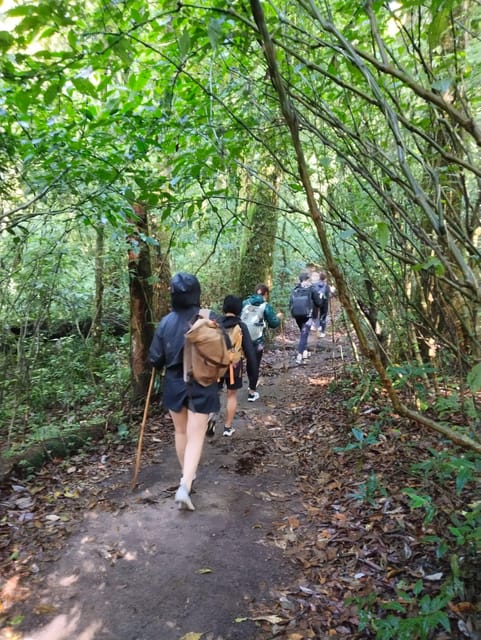 Chiangmai Sunrise Hike - Local Hill Tribe Encounter