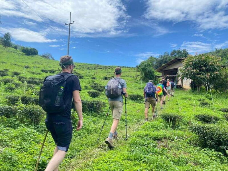 Chiangrai: Group Trekking With Bamboo Cooking - Itinerary and Activities