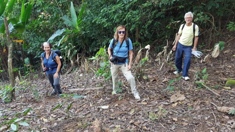 Chianng Rai Jungle Adventure Full Day Guide & Bamboo Lunch - Itinerary Highlights