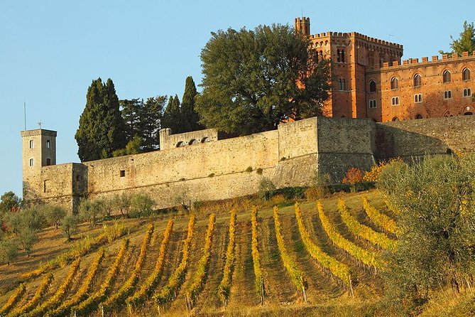 Chianti and Castle Small Group Tour From San Gimignano - Inclusions and Tour Details