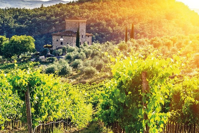 Chianti and Castle Small Group Tour From San Gimignano - Accessibility and Accommodations