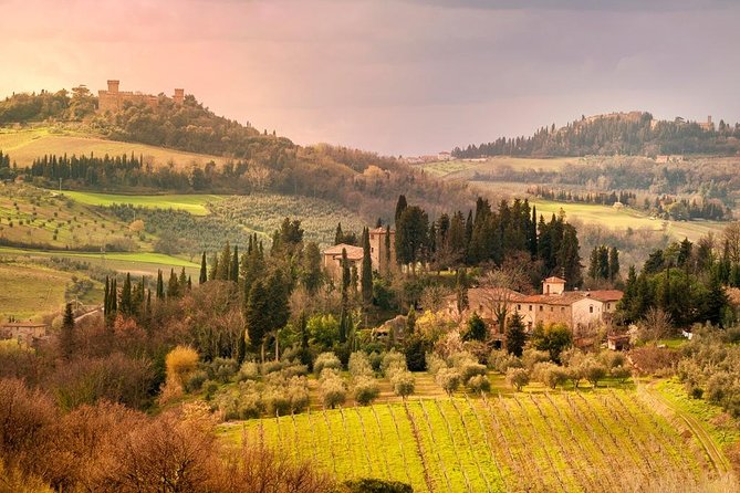 Chianti and Castle Small Group Tour From San Gimignano - Wine Tastings and Pairings