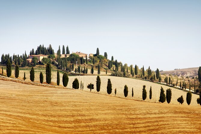 Chianti and Castle Small Group Tour From Siena With Wine Tasting - Itinerary Details