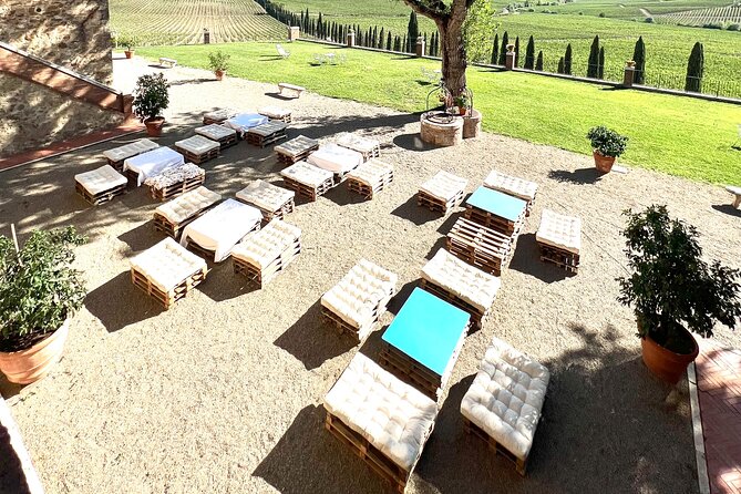 Chianti and Castle Small Group Tour From Siena With Wine Tasting - Scenic Countryside Views