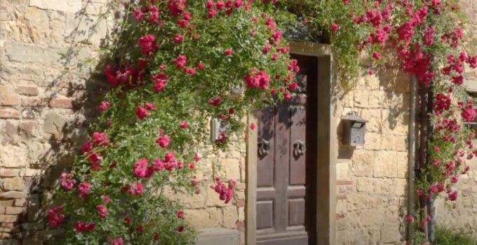 Chianti and Castles Tour From San Gimignano - Sensory Experiences