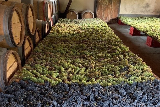 Chianti and San Gimignano - 2 Wineries With Pairing Lunch - Inclusions and Logistics