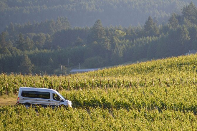 Chianti and Supertuscan Private Tour With Lunch From Livorno - Reviews and Feedback