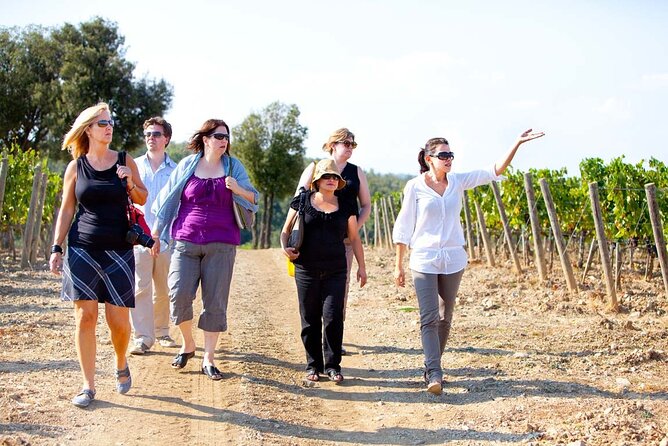 Chianti and Supertuscan Private Tour With Lunch From Livorno - Winery Experiences