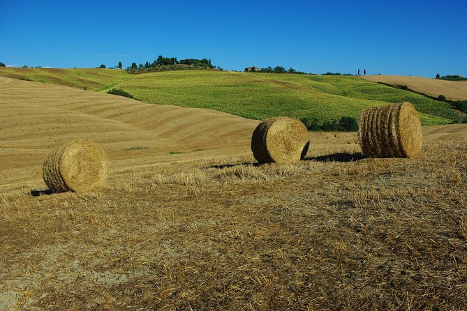 Chianti - Between Florence and Siena - Vineyards and Wineries