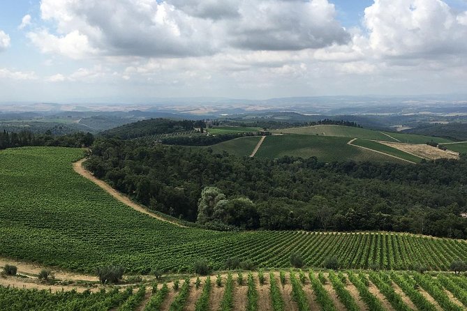 Chianti Classico E-Bike Tour - Experience Level Required