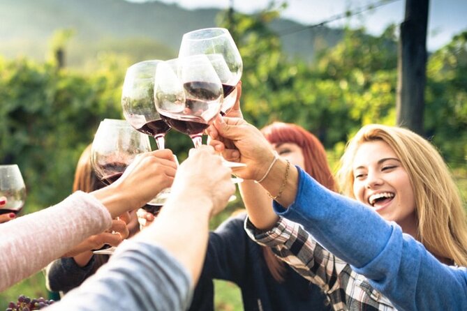 Chianti Classico Wine Tour and Tasting - Vineyard and Cellar Tour Experience