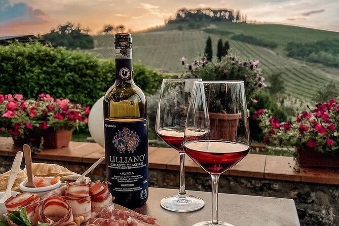 Chianti Classico Wine Tour and Tasting - Olive Oil and Regional Specialties