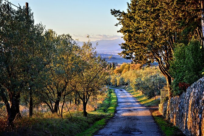 Chianti Day Trip From Florence - Key Points