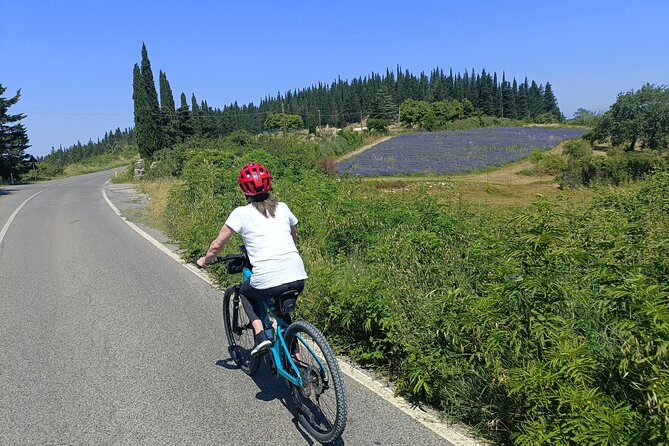 Chianti E-Bike Tour From Florence With Wine Tasting - Booking Information