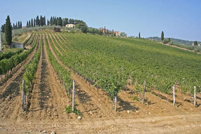 Chianti Experience Shore Excursion From Livorno Port - Winery Visits and Wine Tasting