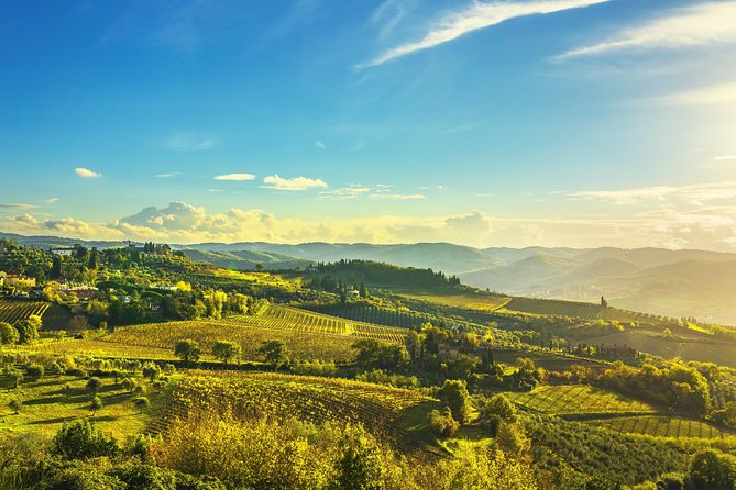 Chianti Experience Shore Excursion From Livorno Port - Tuscan Cuisine and Dining