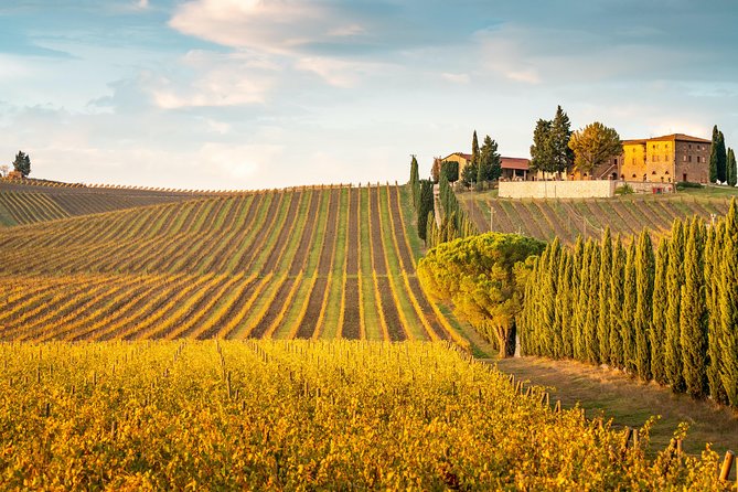 Chianti Experience Shore Excursion From Livorno Port - Booking and Cancellation Policies
