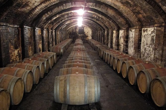 Chianti From Florence:Private Wine, Olive Oil Tasting in the Tuscan Countryside - Tasting Tuscan Wines and Olive Oils