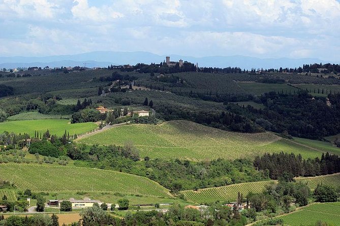 Chianti From Florence:Private Wine, Olive Oil Tasting in the Tuscan Countryside - Private Transportation and Small Group