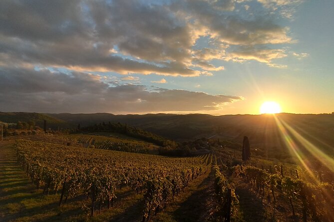 Chianti From Florence:Private Wine, Olive Oil Tasting in the Tuscan Countryside - Inclusions and Meeting Details