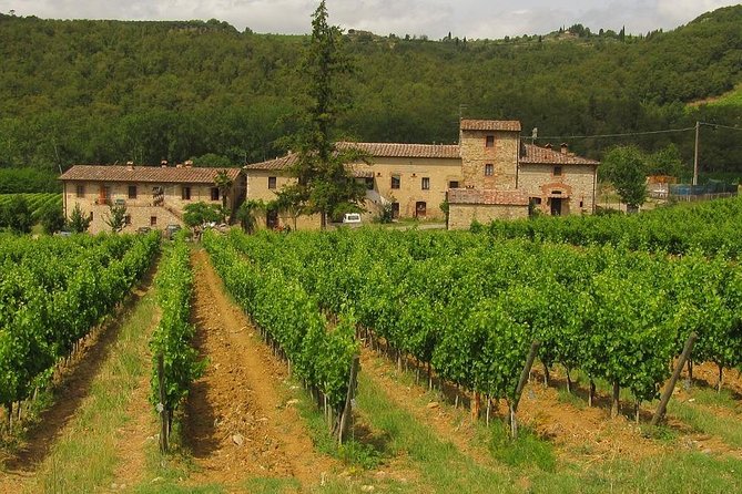 Chianti From Florence:Private Wine, Olive Oil Tasting in the Tuscan Countryside - Accessibility and Participation