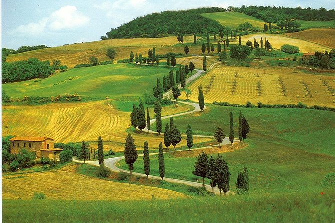 Chianti From Florence:Private Wine, Olive Oil Tasting in the Tuscan Countryside - Tour Reviews and Highlights