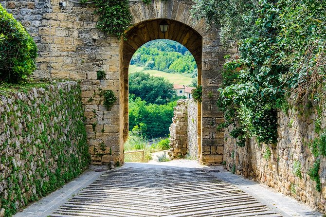 Chianti Half Day Wine Tour From Florence - Fattoria Lornano Winery Visit