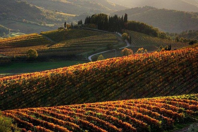Chianti Half-Day Wine Tour in the Tuscans Hills From Pisa - Itinerary and Inclusions