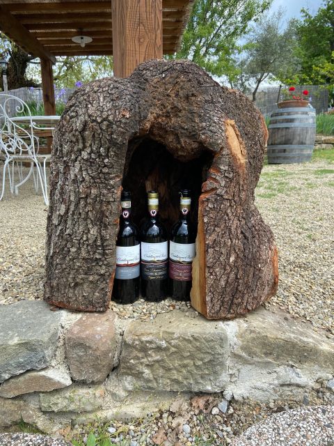 Chianti Natural Wine Tour With Tuscan Lunch - Special Needs