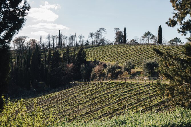 Chianti Private Customizable Transport From Florence - Overview and Highlights