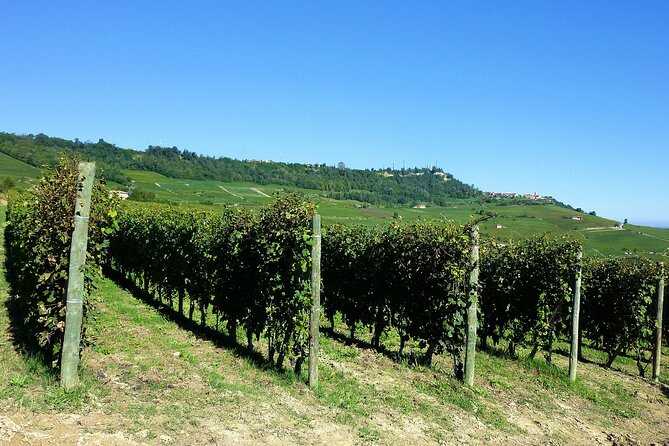 Chianti Private Customizable Transport From Florence - Considerations Before Booking