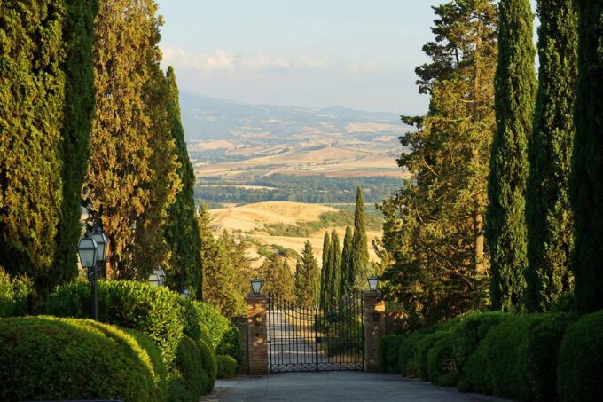 Chianti: Private Tour & Wine Tasting at Castle-Wineries - Castle-Winery Experiences