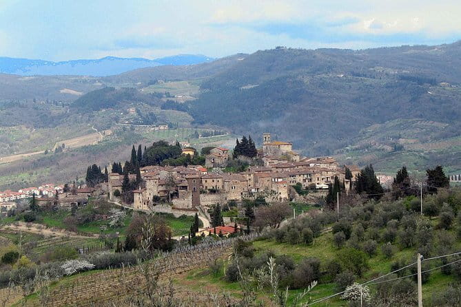 Chianti Region and San Gimignano Including Wine Tasting and Light Lunch - Tour Details
