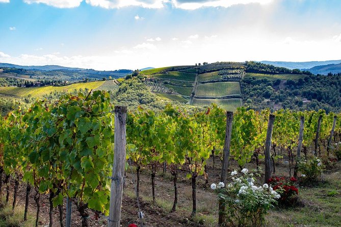 Chianti Safari: Tuscan Villas With Vineyards, Cheese, Wine & Lunch From Florence - Included Features of the Chianti Safari