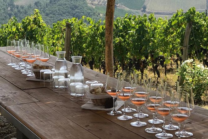 Chianti Safari: Tuscan Villas With Vineyards, Cheese, Wine & Lunch From Florence - Exploring Tuscan Villas and Vineyards