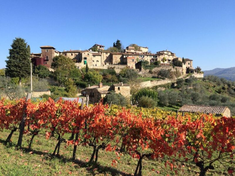 Chianti, Siena, S. Gimignano & Wine Tasting Private Tour - Cultural Immersion Experience