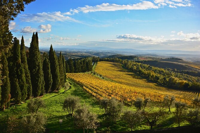 Chianti & Supertuscan Private Tour 2 Wineries With Light Lunch - Tour Reviews
