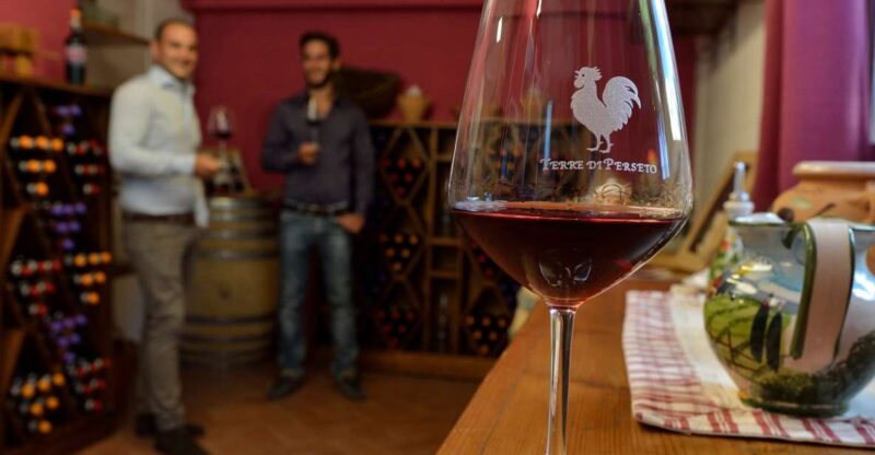 Chianti: Terre Di Perseto Winery Guided Tasting & Tour - Key Points