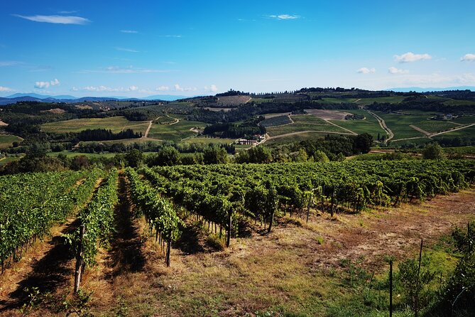 Chianti to San Gimignano E-bike Tour - Ancient Villages and Local Delicacies