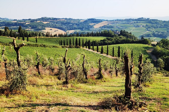 Chianti to San Gimignano E-bike Tour - Reaching UNESCO World Heritage Site