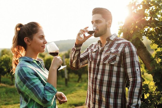 Chianti Tour on Road 222, and Visits to Chianti Wineries - Start Time Flexibility