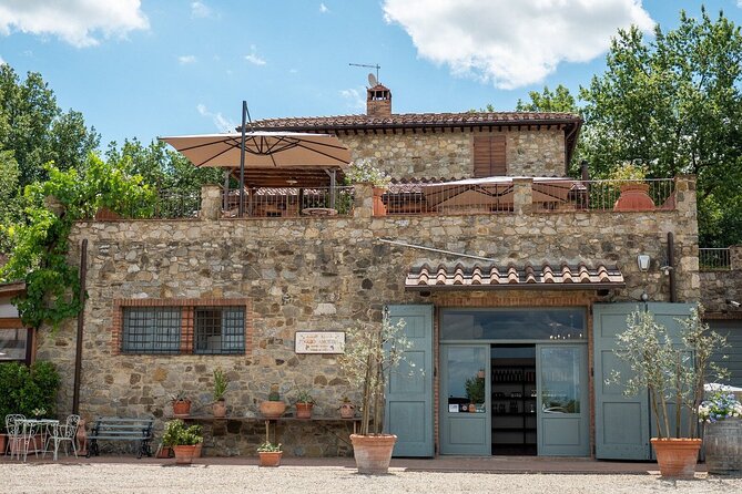Chianti Tour on Road 222, and Visits to Chianti Wineries - Winery Visit Highlights