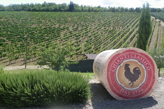 Chianti VINARIUM Tour From Rome - Tour Schedule
