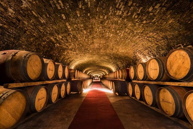 Chianti VINARIUM Tour From Rome - Preparation Tips